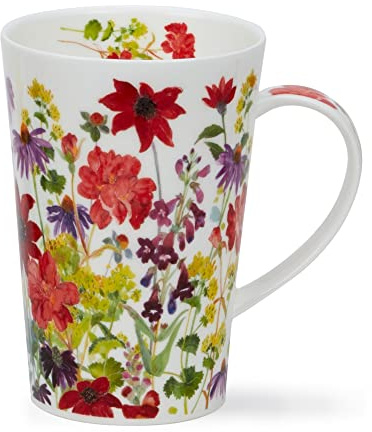 Dunoon Shetland 0.44 L Fine Bone China Floral Mug Cottage Boarder (Red)