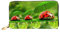 LKLDDPZB Funny Ladybug Holding Umbrellas Print Long Leather Clutch Wallet - Modisch schick und langlebig Geldbörse mit doppelseitig bedrucktem Design, Schwarz , Einheitsgröße