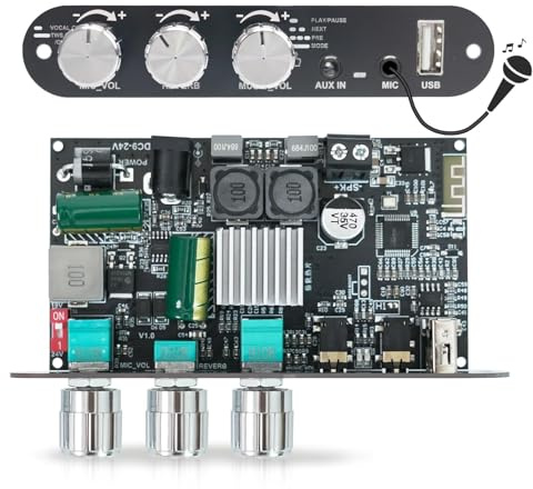 Bluetooth 5.3 Mono Verstärker Board Modul, 100W Audioverstärker mit Echo & EQ-Regelung, TWS-Pairing DC9-24V DIY Lautsprecher Verstärkerplatine mit Mikrofoneingang Upgrade BP1048+TPA3116D2 (ZK-1001UM)