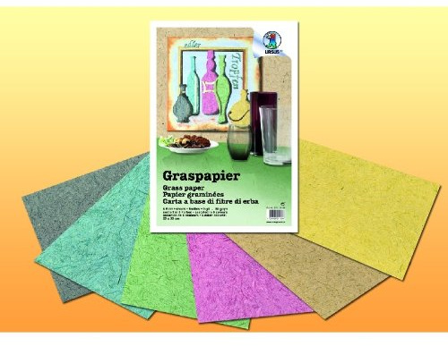 GRASPAPIER 80G.23x33CM,6BL.6F.SORTIERT
