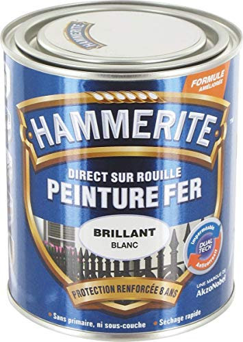 Hammerite fer bril.laque 0.75l blc 070741