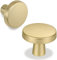 goldenwarm 10 Pack Gold Drawer Knobs ZInc Alloy Brass Knobs, Single Hole Gold Kitchen Handles