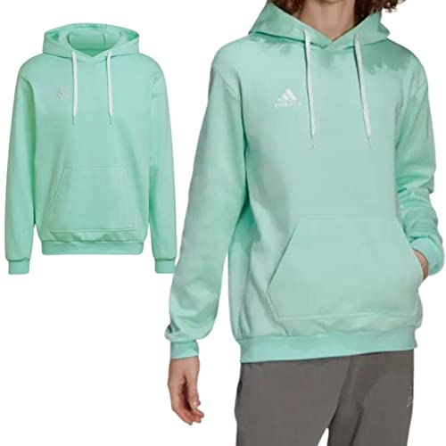 adidas Herren Entrada 22 Sweat Hoodie, Clear Mint, M