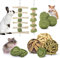 ERKOON Kaninchen Kauspielzeug, 11 Stück Hamster Spielzeug Natürlich Apfelholz Kauen ​Grasball Timothy Heu Sticks Gras Kuchen für Häschen Chinchilla Hamster Meerschweinchen Rennmäuse Zahnpflege