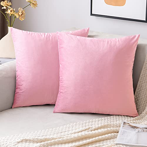 EMEMA Samt Kissenbezug Kissenhülle Dekorative Dekokissen Sofakissen Lendenkissen Wurfkissenbezug mit Verstecktem Reißverschluss Schlafzimmer Sofa 2er Set 40x40 cm Sakura Rosa