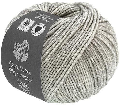 LANA GROSSA Cool Wool Big Vintage | Merinoklassiker mit Ton-in-Ton Farbeffekt | Handstrickgarn aus 100% Schurwolle (Merino extrafein) | 50g Wolle zum Stricken & Häkeln | 120m Garn FB 7169
