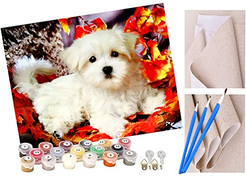 ToeTs Malen nach Zahlen maltesischer weißer Hund Erwachsene und Kinder DIY Ölgemälde Geschenk-Kits Geschenk vorgedruckte Leinwand Kunst Home Wandkunst Decoration Geschenk