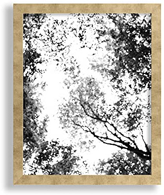 VO design Finn Premium Bilderrahmen Posterrahmen 24x34 cm Farbe Gold Antik Blattgold 34x24 cm mit weisser Rückwand und klarem Acrylglas