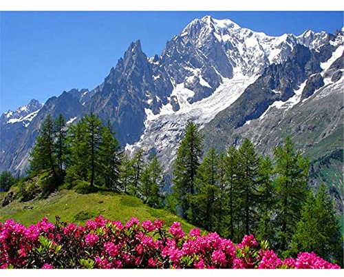 YSCOLOR Diamond Painting 5D Landschaft DIY Komplett rund Diamant Malerei Berg Landschaft Stickerei Kreuzstich Strass Mosaik Wohnkultur 30 x 40 cm