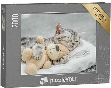 puzzleYOU: Puzzle 2000 Teile „Niedliches Kätzchen schmust mit einem Teddy“ – aus der Puzzle-Kollektion Tiere, Amerika, Katzen-Puzzles