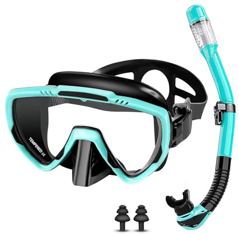 Vasmeiy Set per Snorkeling Adulti con Maschera e Boccaglio, Occhialini da Sub panoramici a 180°, Maschera da Snorkeling Antiappannamento e Anti-Perdite, per immersioni, snorkeling, nuoto (Nero/Verde)