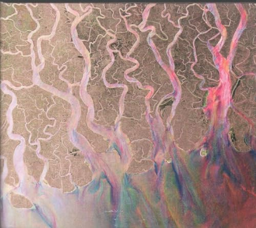 An Awesome Wave (Deluxe