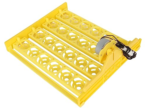 Bandeja de Incubadora de Huevos Bandeja de Volteo de Huevos Automática Profesional 24 Huevos Bandeja de Volteador de Huevos de Gran Capacidad Bandeja de Incubación de Huevos (AC220V)