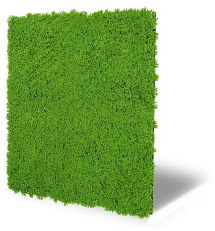 JANGAL Modular Wall Design Moos Paneel (52 x 52 cm), Modulares Wandpaneel, mit recyceltem PET-Filz, zum Kleben oder Schrauben, Wandverkleidung, Wand Deko, Mooswand (Lime Green Design Moos)