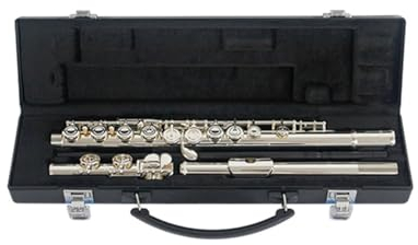 flûte traversière Flûte standard débutant adulte enseignement de la performance professionnelle