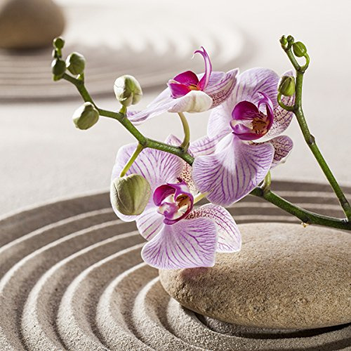 Eurographics DG-DT12091 Deco Glass - Orchids In The Sky 30 x 30 cm