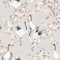 Arthouse Blossom Crane Birds Wallpaper - Pink/Cream 924800