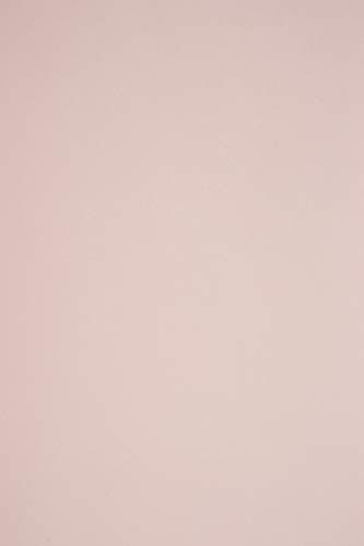 Netuno 100 Blatt Tonpapier Blass-Rosa DIN A4 210× 297 mm 115g Sirio Color Nude Bastel-Papier bedruckbar rosa A4 Ton-Zeichen-Papier für Hochzeit Geburtstag Taufe Weihnachten Einladungs-Karten
