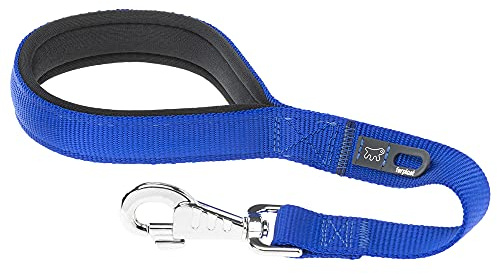 Ferplast Daytona GM Guinzaglio per Cani Extraresistente - Morbida Impugnatura Imbottita - Pratico Porta Sacchetti Igienici - Antiabrasione - Design Italiano - 45 x 2,5 cm, Blu