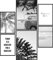 Papierschmiede® Mood Poster Set Beach Schwarz-Weiß, Bilder Wohnzimmer Deko Schlafzimmer, 2x DIN A4 und 4x DIN A5, Strand Palmen Urlaub - ohne Rahmen