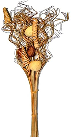 Decpero Exoten Sortiment I Trockenblumen I Natur