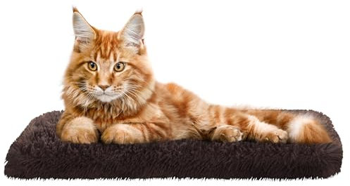 Katzen Fensterliege Fensterbank rutschfest - Katzenbett Fensterbank 50x20 cm - Weich & Kuschelig - Fensterliege für Katzen Selbstheizende Katzendecke - Waschbarer Bezug (Braun)