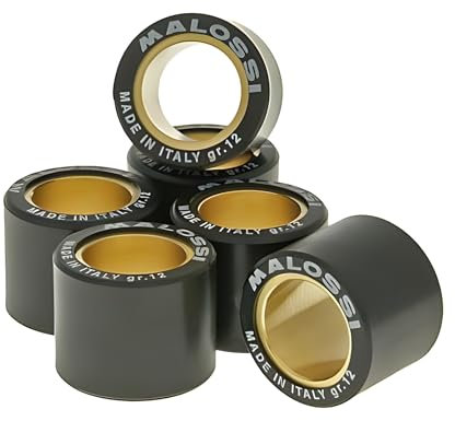 Jeu de galets Malossi HT 19x15,5mm - 5,5g