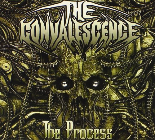 Convalescence : The Process