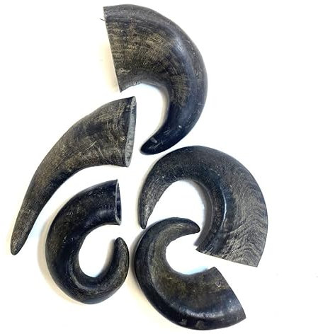Medium Buffalo Horns x 5 Natural Dog Treats Chews
