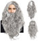 EUPSIIU Herrenperücke Perücke Bart Cosplay Perücke Retro Lang Grau Perücke Herren Damen Hippie Halloween Kostüm Magier Zauberer Perücken für Männer Fasching Mottoparty Karneval Perücken (Grau)