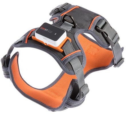 Pawfit 3-Hundegeschirr | Anti-Zug Geschirr für Hunde | komfortable Mesh-Polsterung | Verstellbar | Mit Zwei Leinenringen | Reflektierend | Atmungsaktiv | Für Training und Gassi Gehen | Größe S