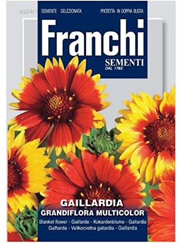 Gaillardia grandiflora multicolor (Semente)