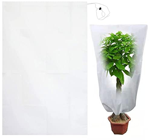 REFORUNG Winterschutz für Pflanzen 240x200 cm XXL Pflanzenschutz Winter Groß Kübelpflanzensack Frostschutz Kälteschutz Pflanzenschutzsack mit Reißverschluss und Kordelzug für Olivenbaum Palmen