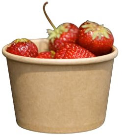 ECOPICNIC Gobelet à glace jetable 250 ml | Lot de 500 pièces Bol à soupe jetable, vaisselle jetable, gobelets en carton kraft pour aliments, pot jetable pour desserts, salades, apéritifs