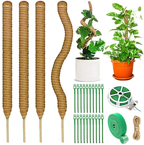 VIPNAJI 4 Pezzi Bastone di Muschio, 70 cm Pieghevoli Palo per Fibra di Cocco per Piante, Supporti per Piante per Monstera, Sostegno per Piante Piante Rampicanti per Casa Giardino Balcone