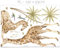Mica-Mica Safari Wandtattoo für Kinderzimmer, Wanddeko, Wandsticker (X-Large, Giraffe)