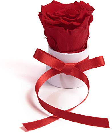 ROSEMARIE SCHULZ Heidelberg Kleine Rosenbox weiß rund Infinity Rose - Blumenbox 1 konservierte Rose (Weiß-Rot)