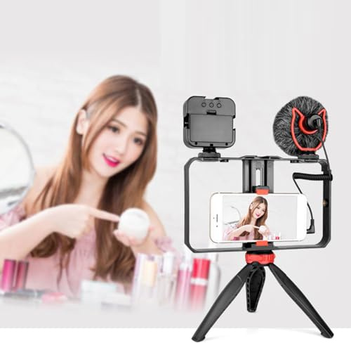 Phone Video Rig Kit, All in One Video Kit with Fill Light Windproof Cover Microphone, Phone Rig Vlogging Kit for Live Recording, Online Lectures, Live Selling, Outdoor Shooting