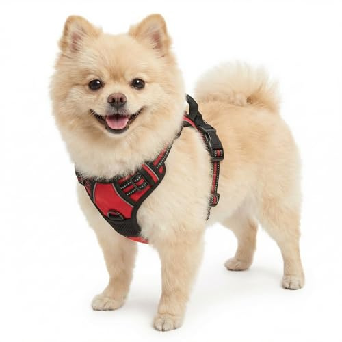 Funfox Anti Zug Hundegeschirr Kleine Hunde mit 2 Ringe, Rot | Verstellbar, Weich Gepolstert, Griff, Nachts Reflektierend, Frontclip Hund Geschirr für Spaziergang, S