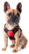 Funfox Hundegeschirr Kleine Hunde Anti Zug Welpengeschirr Einstellbar Hundegeschirr Antiziehgeschirr für Mittelgroße Hunde Brustgeschirr Hund Atmungsaktiv No Pull Dog Harness Rot S