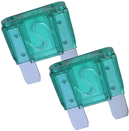 AERZETIX - C53723 - Satz von 2 Stecksicherung maxi 29 mm flach sicherung flachsicherung flachstecksicherung - 30A - farbe : grün - auto fahrzeug - für elektrischen system von fahrzeugen