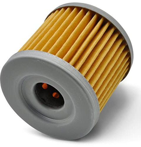 Easyboost Filtro olio per Kymco 125-200-300-350cc Dink Downtown K-XCT People X-Town e Kawasaki 125-300J per il codice OEM 1541A-LEA7-E00 e 52010-Y001 HF566