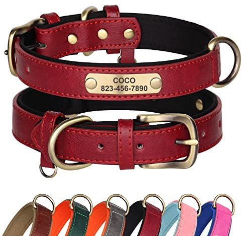 Didog PU Leather Dog Collar Personalized for Small Medium Large Dogs, Soft Padded Leather Dog Collar with Engraved Name Plate, Red, XS