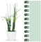 10 Pcs Plant Support Stakes with 10 Pcs Plant Clips, Bendable Garden Floral Flower Support Stake, Plant Sticks Help for Support Tall and Thrive, Plant Support Clips Set for Outdoor and Indoor Plants