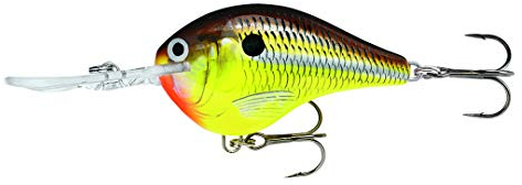 Rapala - Angelköder DT (Dives-to) Serie - Angelzubehör aus Balsaholz - Süßwasser Spinnköder - Lauftiefe 5m - Fischköder 7cm, 22g - Hergestellt in Estland - Hot Mustard