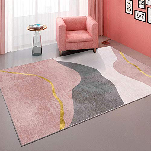 AU-OZNER Tapis d Entree Interieur,Tapis d'encre et de Lavage Rose, Tapis antibactérien Simple Anti-acarien et Non décoloré,Chambre ado -Rose_120x160 cm