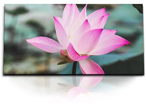 Paul Sinus Kunstdruck Bilder 120x60cm Lotus Lotusblume Blume Wasserblume Blüte