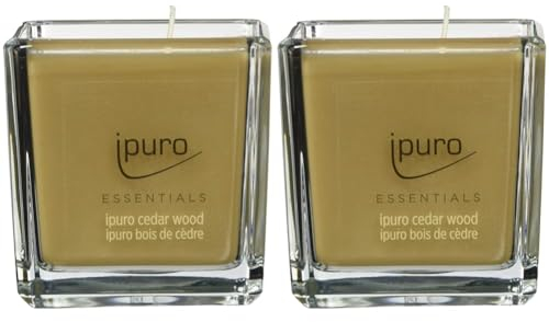 ipuro - dekorative cedar wood - minimalistische & puristische Duftkerzen im Glas - intensive mit holzigen & würzigen Noten - stilvolle Kerze 125 g (Packung mit 2)