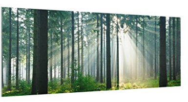 micasia Glas Spritzschutz inkl. Aufhängung 4 mm starke Küchenrückwand Wald Glasrückwand - Made in Germany - Modern Bäume Wandpaneel grün Küche Herd Küchenspiegel 1044 (100x40cm)