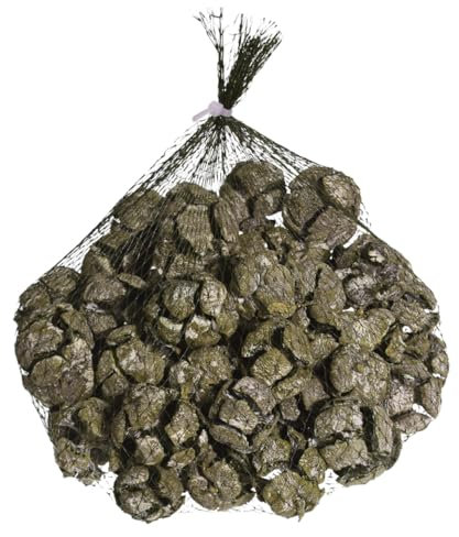 Zypressen Zapfen Herbstdeko Winter Streudeko Naturdeko Mehrfarbig Beutel mit 300g, Farbe:Grün